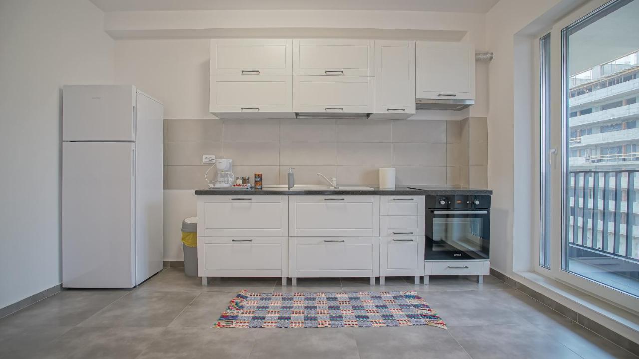 Apartment Dynamic Studio Coresi